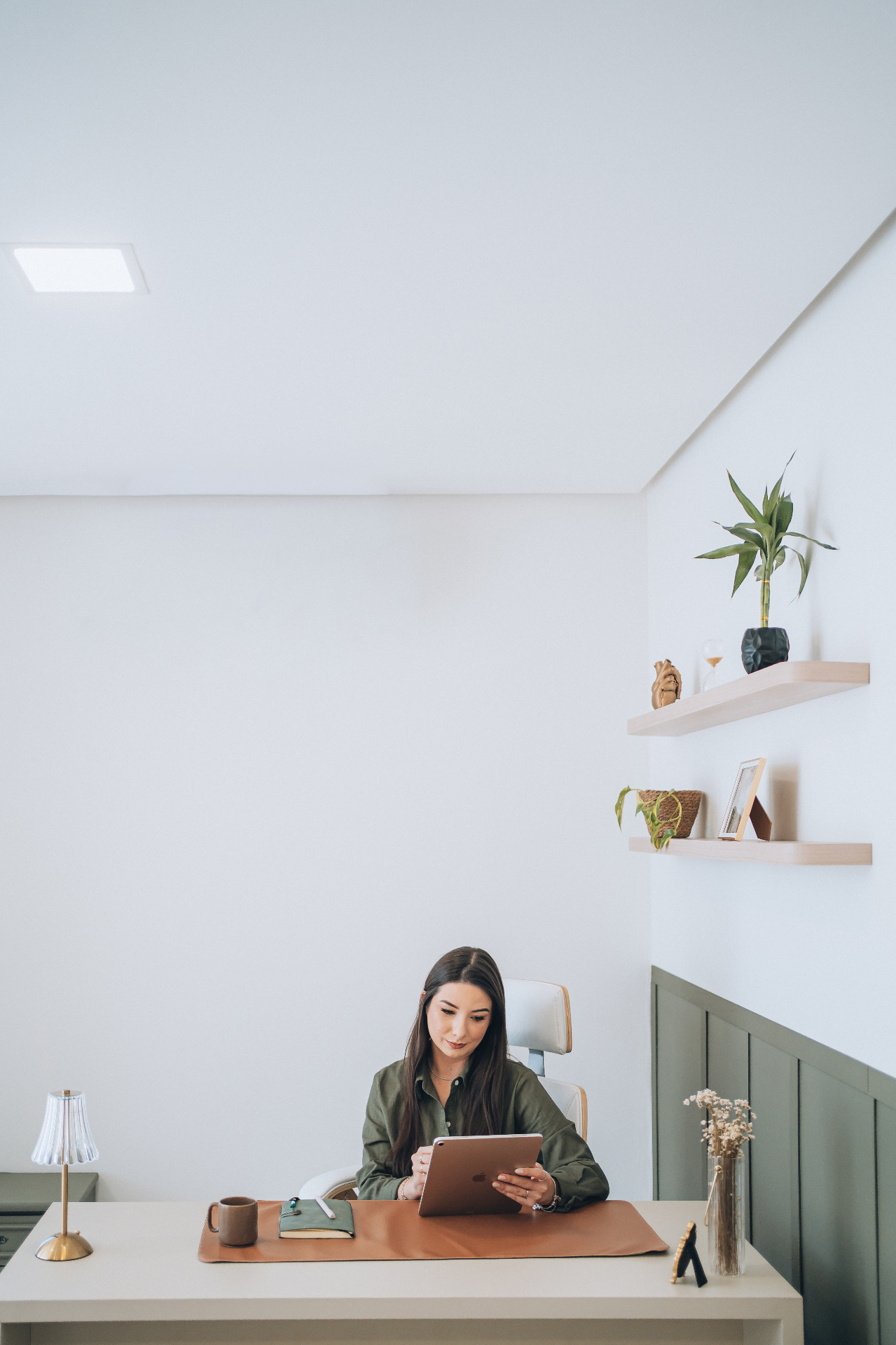 Representação de atendimento psicológico online em ambiente seguro e sigiloso via Google Meet